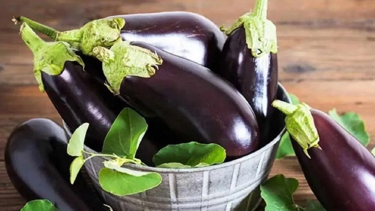 Brinjal : రోహిణి కార్తె ప్రారంభం.. ఈ 9 రోజులు వంకాయకు దూరంగా ఉండాలని ఎందుకు చెబుతారు?