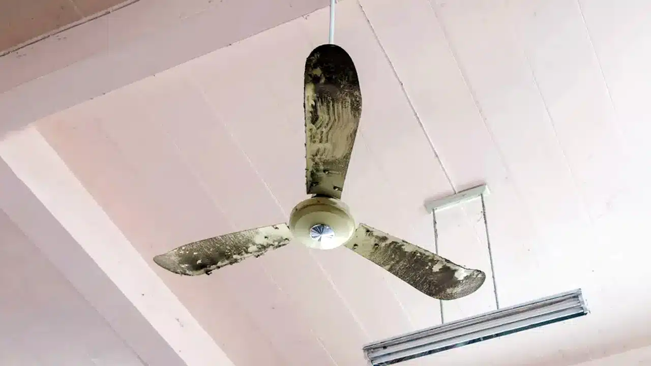 Ceiling Fan Dust : ఫ్యాన్ వేగంగా తిరిగినా దుమ్ము ఎందుకు వదలదు? దీని వెనుక ఉన్న అసక్తికరమైన సైన్స్ ఇదే!