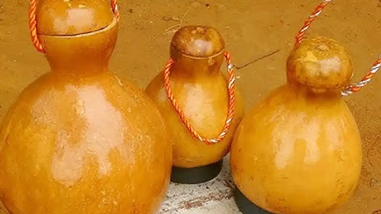 Dry Bottle Gourd : కరెంట్ లేని రోజుల్లో నీళ్లు చల్లగా.. పూర్వకాల నేచురల్ ఫ్రిజ్ టెక్నిక్ ఇప్పుడు వైరల్..!
