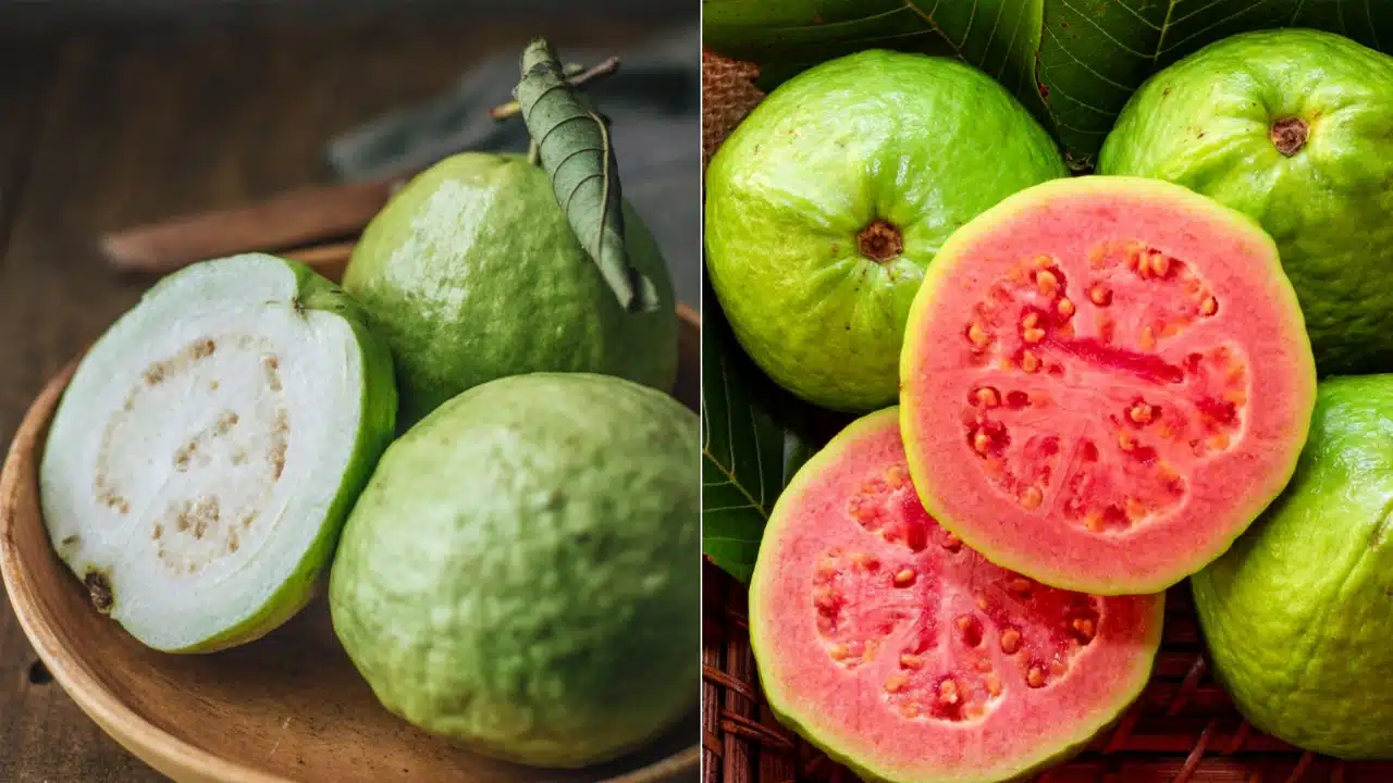 White Guava vs Red Guava : తెల్ల జామా? ఎర్ర జామా? షుగర్ కంట్రోల్‌కు ఏది బెస్ట్..?