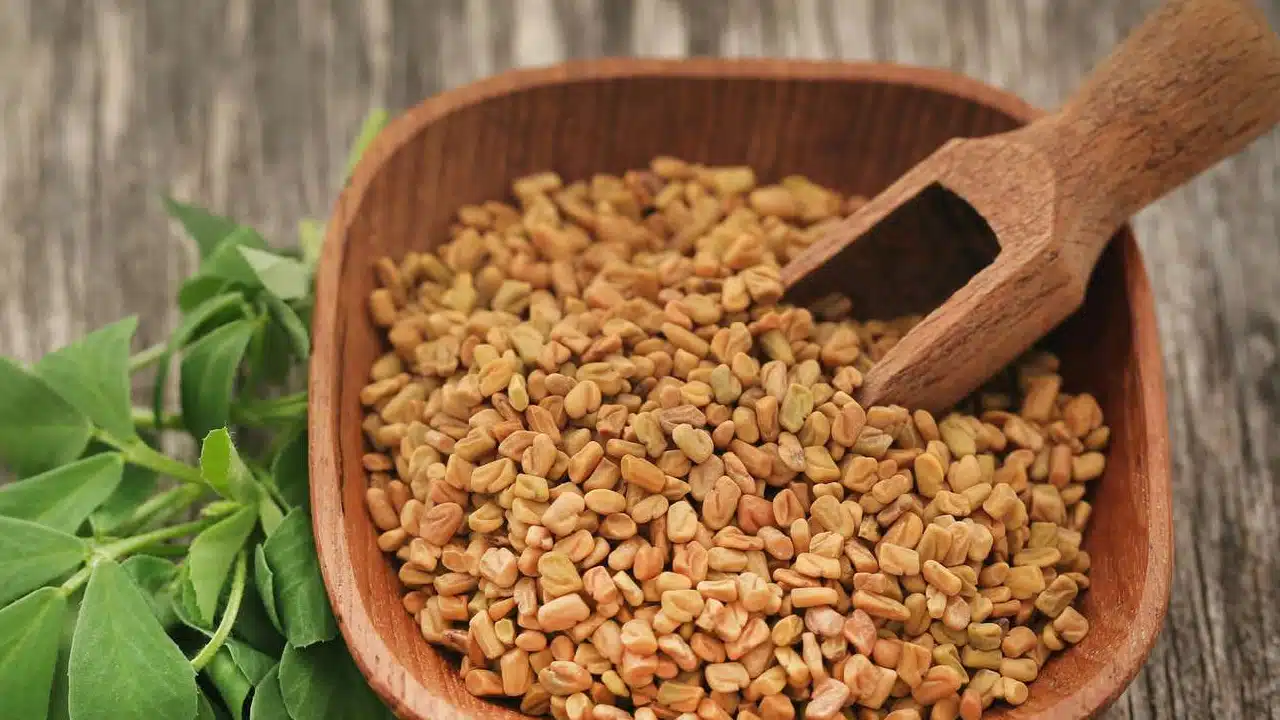 Fenugreek Seeds : మెంతులు శరీరంలో వేడి పెంచుతాయా..? తగ్గిస్తాయా..? అసలు నిజం ఇదే!