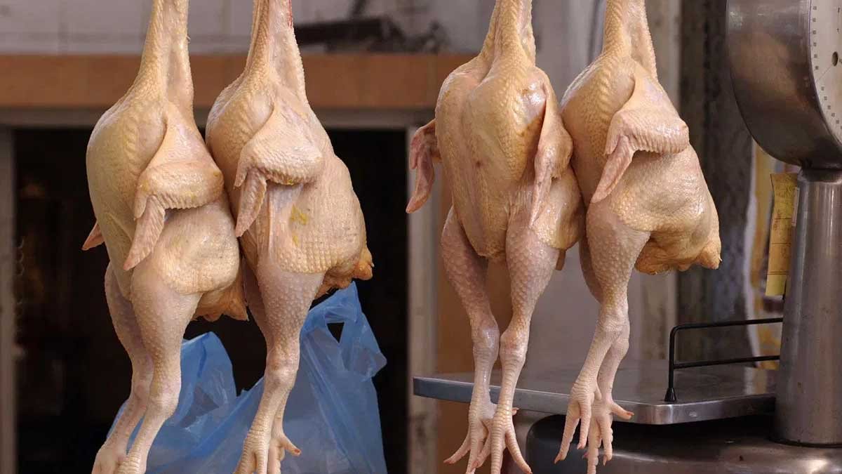Chicken : తాజా చికెన్‌ను ఎలా గుర్తించాలి? ఈ రంగుల్లో చికెన్ కనిపిస్తే వెంటనే కొనడం మానేయండి..!