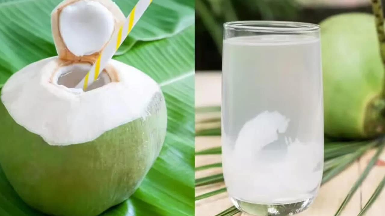 Coconut Water  : కిడ్నీ స్టోన్స్, షుగర్, హ్యాంగోవర్‌పై కొబ్బరి నీళ్ల‌తో ఇన్ని బెనిఫిట్స్‌హా..!