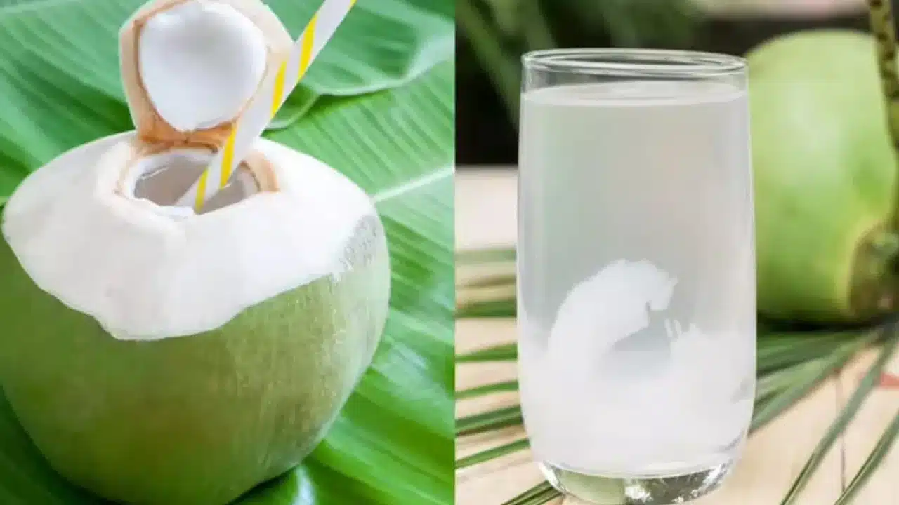 Coconut Water : కిడ్నీ స్టోన్స్, షుగర్, హ్యాంగోవర్పై కొబ్బరి నీళ్లతో ఇన్ని బెనిఫిట్స్హా..!