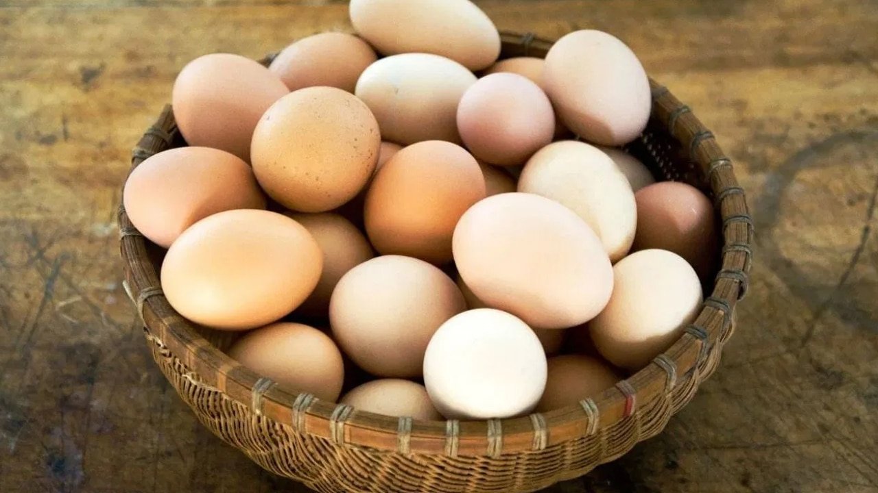 Eat Eggs in Summer : సమ్మర్‌లో గుడ్లు తింటే శరీర వేడి పెరుగుతుందా? నిపుణులు చెప్పిన అసలు నిజం ఇదే!