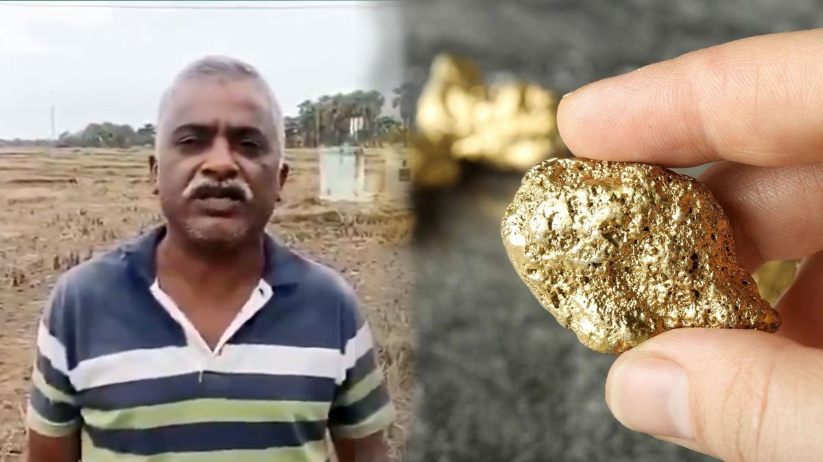Gold Found in Farmland : పొలం దున్నితే పసిడి దొరికింది.. 50 తులాల బంగారం వెలుగులోకి!