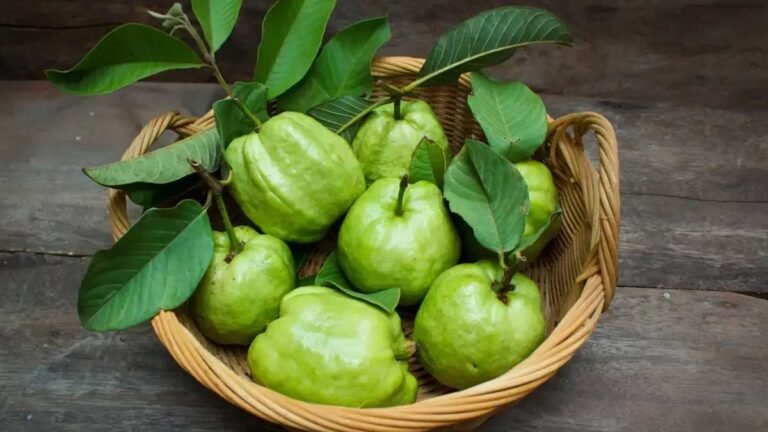 Guava : జామకాయ తిన్న తర్వాత ఈ 4 ఫుడ్స్‌కు దూరంగా ఉండండి..!