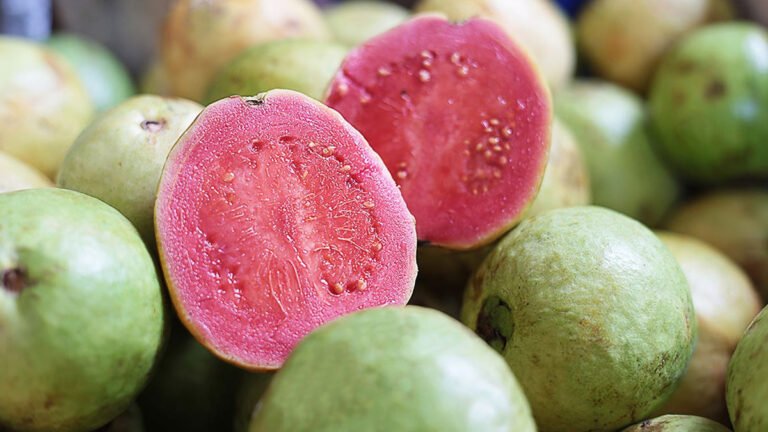 Guava Health Tips : జామకాయ తిన్న వెంటనే ఇవి తింటే ప్రమాదం.. ఈ 4 పొరపాట్లు అస్సలు చేయెద్దు..! Guava Health Tips : జామకాయ తిన్న వెంటనే ఇవి తింటే ప్రమాదం.. ఈ 4 పొరపాట్లు అస్సలు చేయెద్దు..!