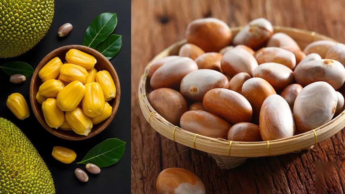 Jackfruit Seeds  :  పనస గింజలను పారేస్తున్నారా? ఈ ఆరోగ్య ప్రయోజనాలు తెలిస్తే వెంటనే తినడం మొదలుపెడతారు!