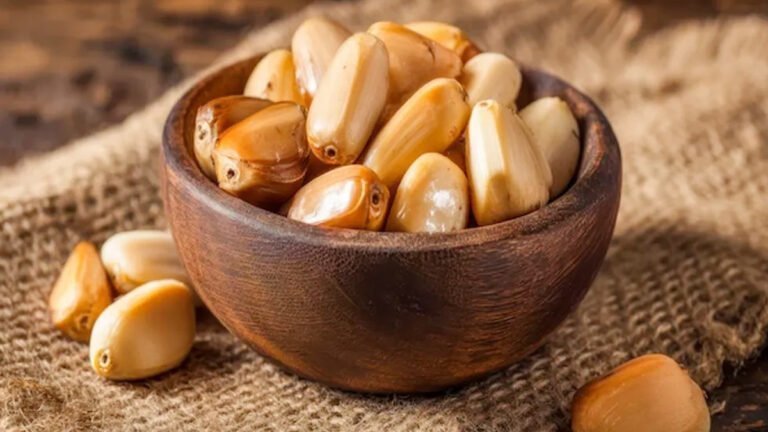 Jackfruit Seeds : పనస గింజల్లో దాగి ఉన్న సూపర్ ఫుడ్ రహస్యం.. రోజూ తింటే కలిగే లాభాలు ఇవే! Jackfruit Seeds : పనస గింజల్లో దాగి ఉన్న సూపర్ ఫుడ్ రహస్యం.. రోజూ తింటే కలిగే లాభాలు ఇవే!