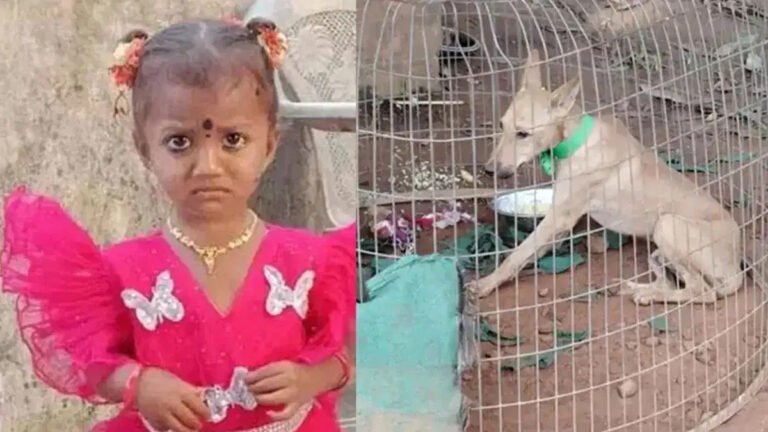 Jahnavi Missing : జాహ్నవి మిస్సింగ్ కేసులో షాకింగ్ ట్విస్ట్.. కీలక ఆధారంగా భావించిన పెంపుడు కుక్క మృతి! Jahnavi Missing : జాహ్నవి మిస్సింగ్ కేసులో షాకింగ్ ట్విస్ట్.. కీలక ఆధారంగా భావించిన పెంపుడు కుక్క మృతి!