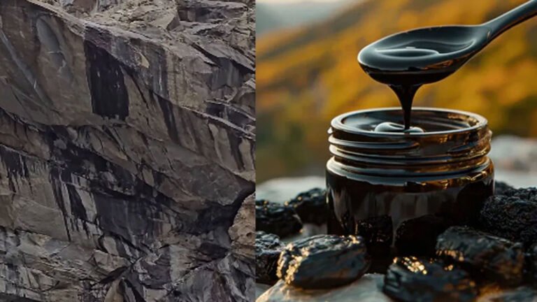 Shilajit : హిమాలయాల నుంచి లభించే శిలాజిత్ అంటే ఏమిటి? ఎందుకు అంత విలువైనదంటే..!