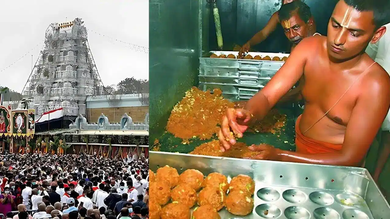Tirumala Laddu : టీటీడీ శ్రీవారి లడ్డూ చరిత్రలో కొత్త రికార్డు..!