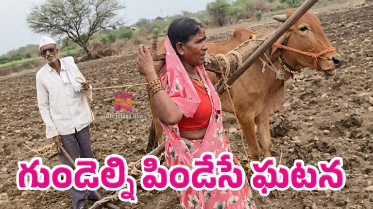 Viral Video : గుండెల్ని పిండేసే ఘటన.. ఎద్దు చనిపోవడంతో భార్యను కాడికి కట్టి పొలం దున్నిన రైతు..! Viral Video : గుండెల్ని పిండేసే ఘటన.. ఎద్దు చనిపోవడంతో భార్యను కాడికి కట్టి పొలం దున్నిన రైతు..!