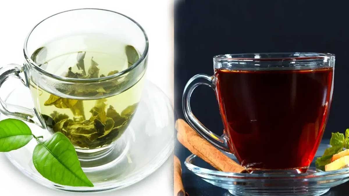Green Tea vs Black Tea : గ్రీన్ టీ vs బ్లాక్ టీ: బరువు తగ్గాలంటే ఏది బెస్ట్..?