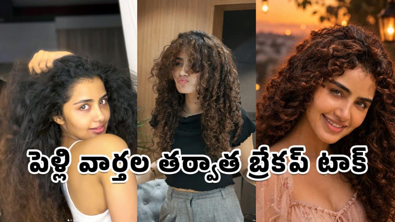 Anupama Parameswaran : పెళ్లి వార్తల తర్వాత బ్రేకప్ టాక్.. అనుపమ పరమేశ్వరన్ పోస్టు వైరల్?