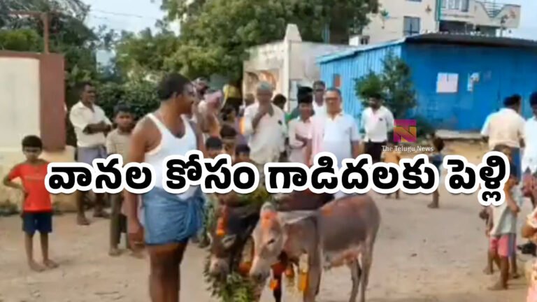 Donkey Marriage : వానల కోసం గాడిదలకు పెళ్లి.. ఏపీలో అరుదైన ఆచారం వైరల్ వీడియో..! Donkey Marriage : వానల కోసం గాడిదలకు పెళ్లి.. ఏపీలో అరుదైన ఆచారం వైరల్ వీడియో..!