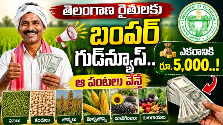 Good News for Farmers : తెలంగాణ రైతులకు బంపర్ గుడ్న్యూస్.. ఆ పంటలు వేస్తే ఎకరానికి రూ.5,000..! Good News for Farmers : తెలంగాణ రైతులకు బంపర్ గుడ్న్యూస్.. ఆ పంటలు వేస్తే ఎకరానికి రూ.5,000..!