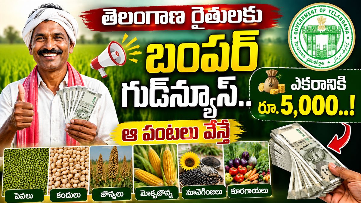 Good News for Farmers : తెలంగాణ రైతులకు బంపర్ గుడ్న్యూస్.. ఆ పంటలు వేస్తే ఎకరానికి రూ.5,000..! Good News for Farmers : తెలంగాణ రైతులకు బంపర్ గుడ్న్యూస్.. ఆ పంటలు వేస్తే ఎకరానికి రూ.5,000..!