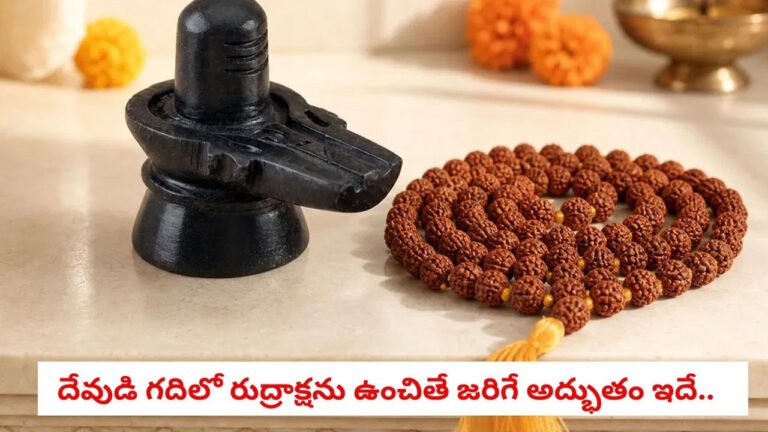 Rudraksha : దేవుడి గదిలో రుద్రాక్ష ఎందుకు ఉంచాలి? శాస్త్రం చెప్పేదేంటి? Rudraksha : దేవుడి గదిలో రుద్రాక్ష ఎందుకు ఉంచాలి? శాస్త్రం చెప్పేదేంటి?
