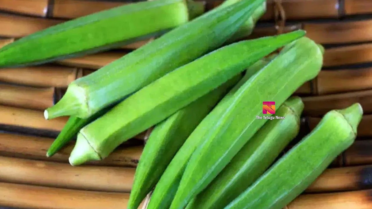 Okra : ఈ 5 ఆరోగ్య సమస్యలు ఉన్నవారు బెండకాయ తింటే డేంజర్‌లో పడ్డట్టే..!