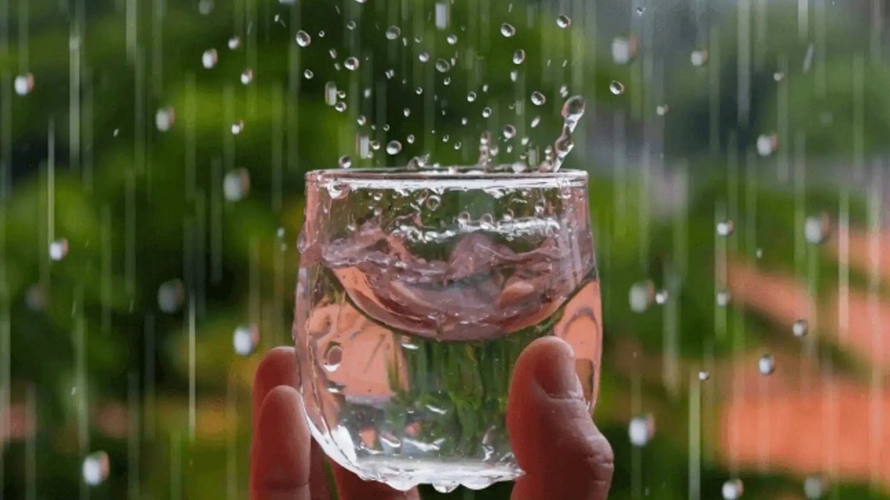 Rainwater : వర్షపు నీరు తాగొచ్చా? స్వచ్ఛంగా కనిపించినా అసలు నిజం ఇదే!