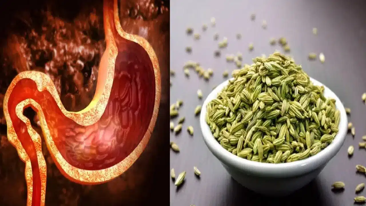 Fennel Water : డయాబెటిస్ ఉన్నవారికి ఈ నీరు వరమా?.. రోజూ తాగితే కలిగే ఆరోగ్య ప్రయోజనాలు ఇవే!