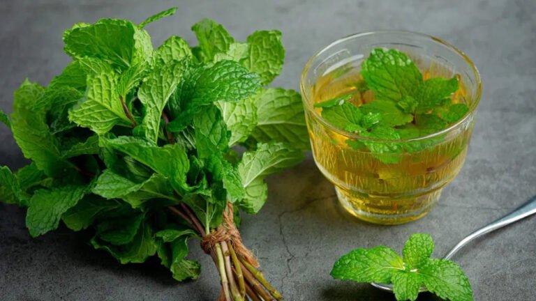 Mint Cinnamon Tea : డయాబెటిస్‌ను దాల్చినచెక్క, పుదీనా కషాయం తగ్గిస్తుందనే వార్తల్లో నిజమెంత?