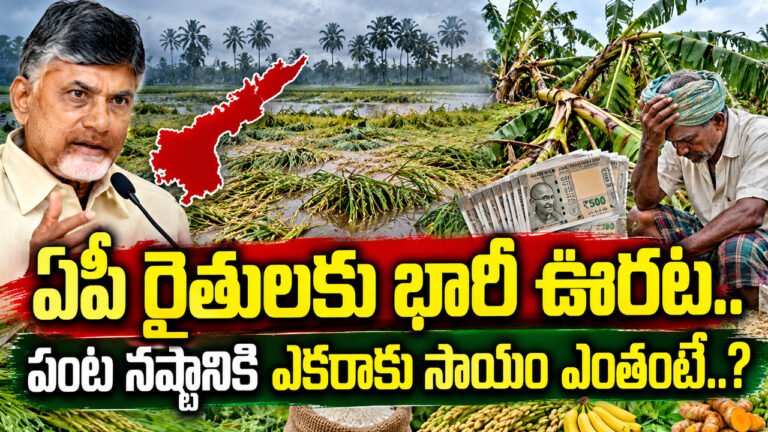 AP Crop Compensation : ఏపీ రైతులకు భారీ ఊరట.. పంట నష్టానికి ఎకరాకు సాయం ఎంతంటే..?